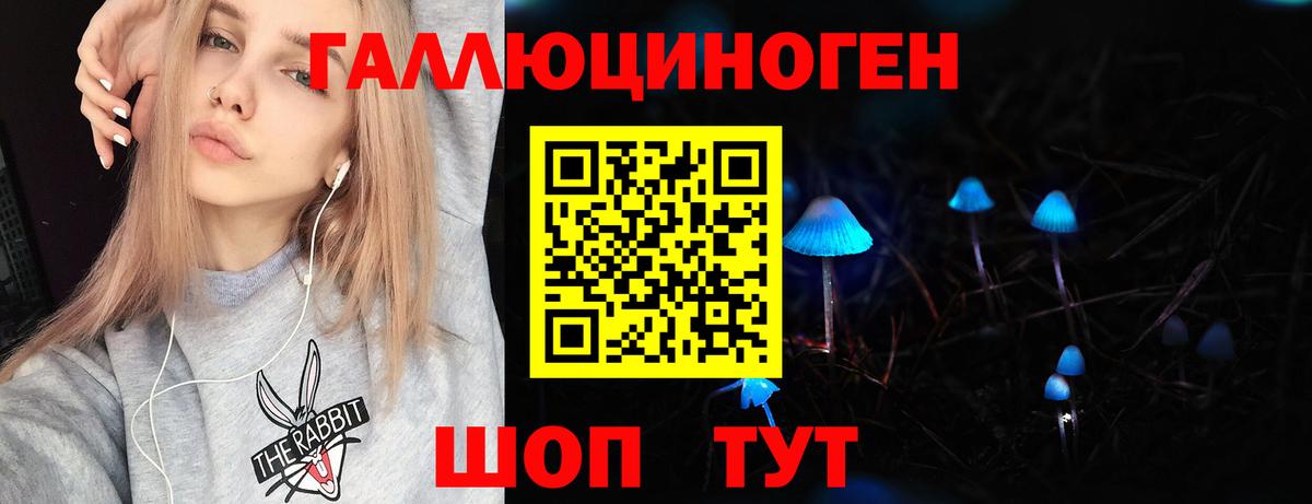 Псилоцибиновые грибы Psilocybine cubensis  где найти   Сатка  Вход с VPN 