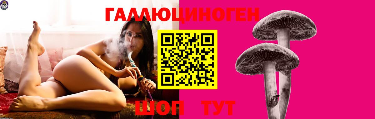Галлюциногенные грибы Cubensis Сатка